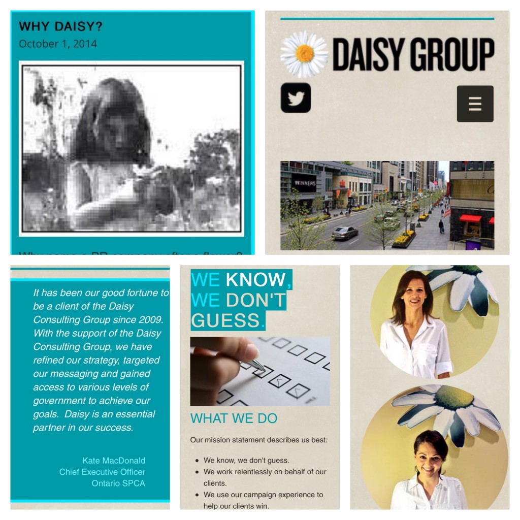 daisygroup